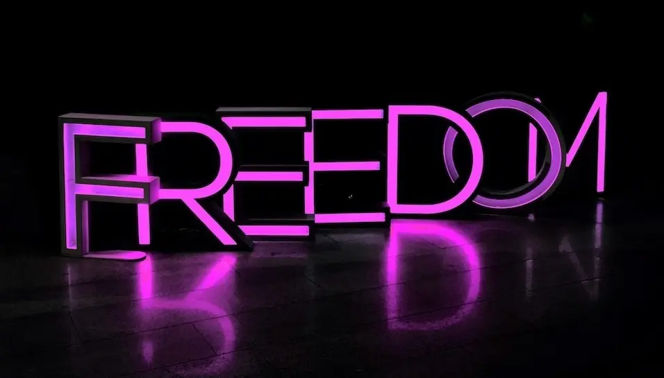 A neon sign that says freedom representing the mission for the small business owner