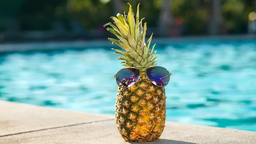 Pineapple with glasses representing a niche strategy for small business success