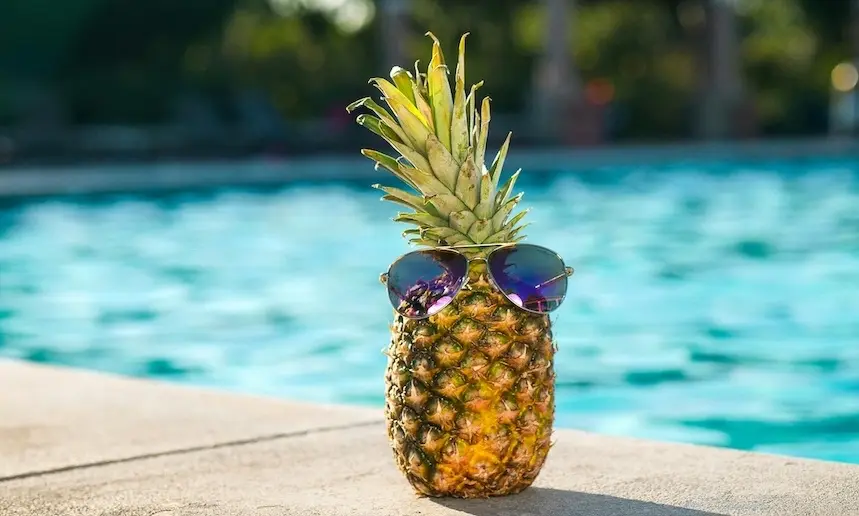 A pineapple with sunglasses representing a small business niche market and a strategy that works